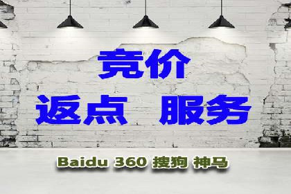 行业应用案例：SEM代运营公司的智慧与策略